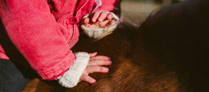 Reiten auf Hannelore - Therapeutisches Reiten in Norderstedt